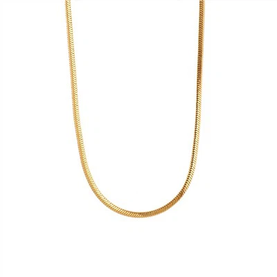 2mm Herringbone Chain