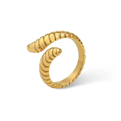 Stainless Steel Ridged Snake Ring