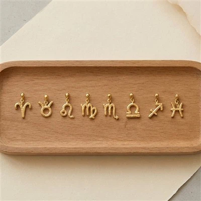 Stainless Steel Zodiac Charm