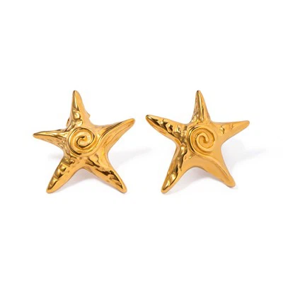 Star Stud Earring Stainless Steel
