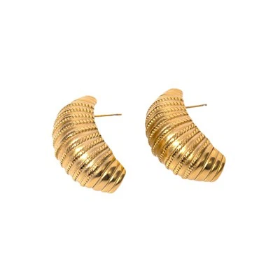 Stripe Bold Hoop Earring